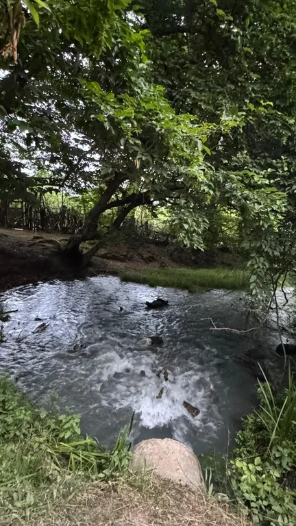 Уютный дом для семейного отдыха прямо у леса