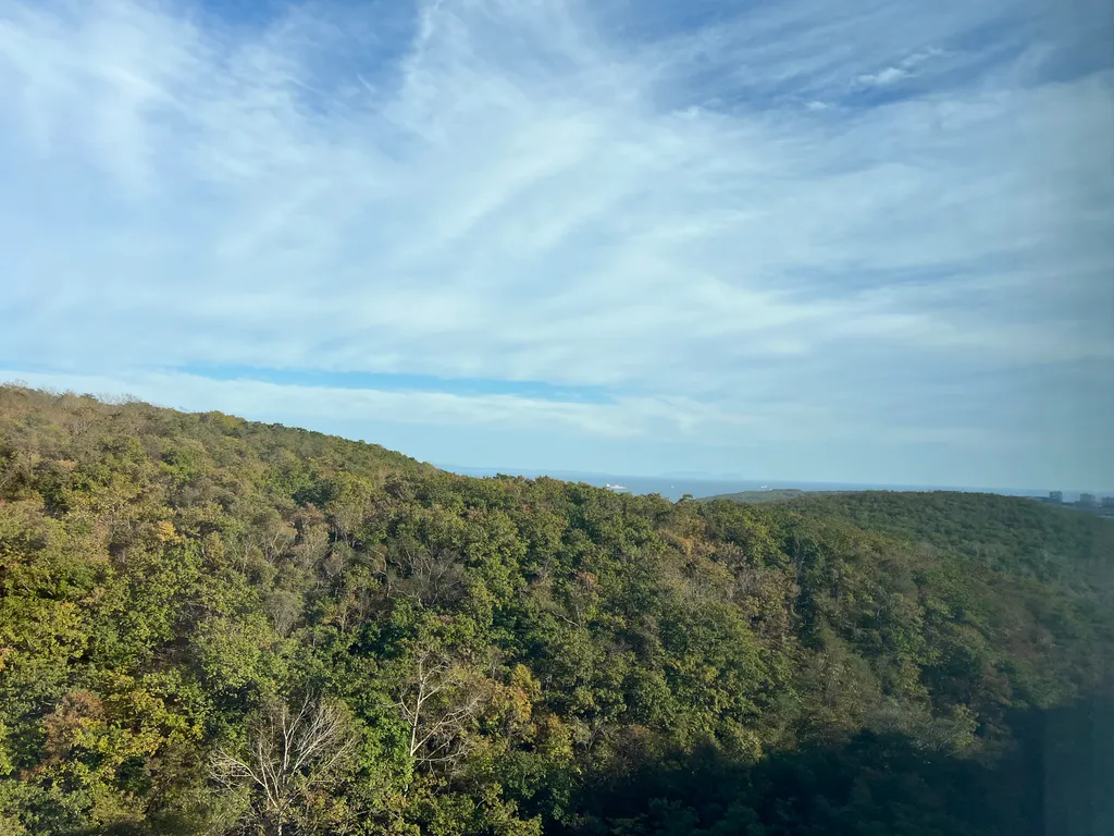Уютная и светлая современная квартира в новом ЖК Зеленый бульвар