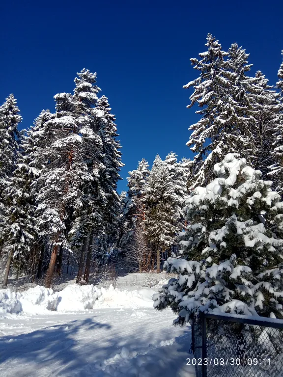 Коттедж 3-комнатный Дом — аренда посуточно в Сортавала