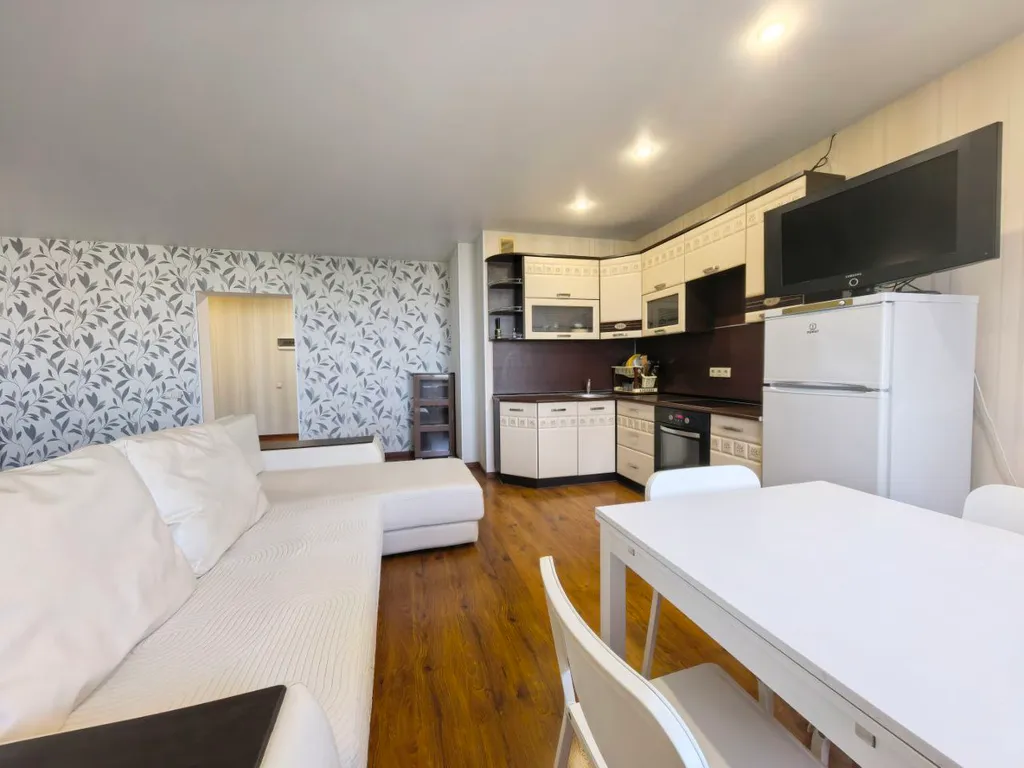 Большая квартира-студия