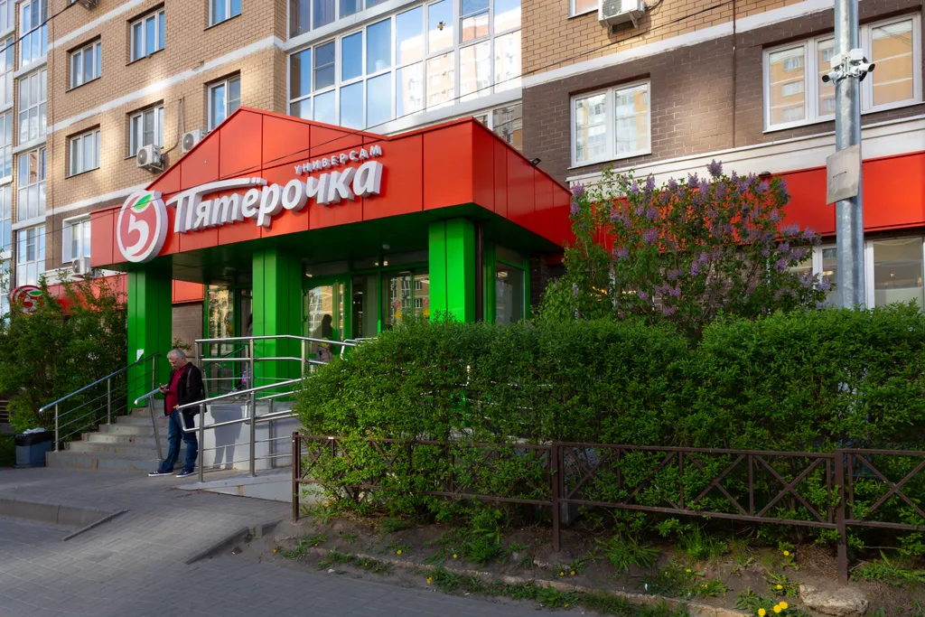 Тень сакуры