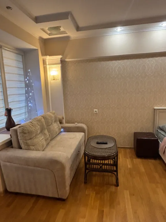 Великолепная квартира-студия в центре  возле реки