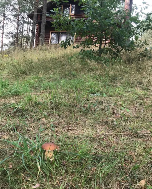 Домик на горе