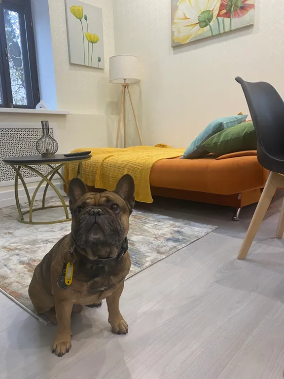 Апартаменты в центре Фьюжн