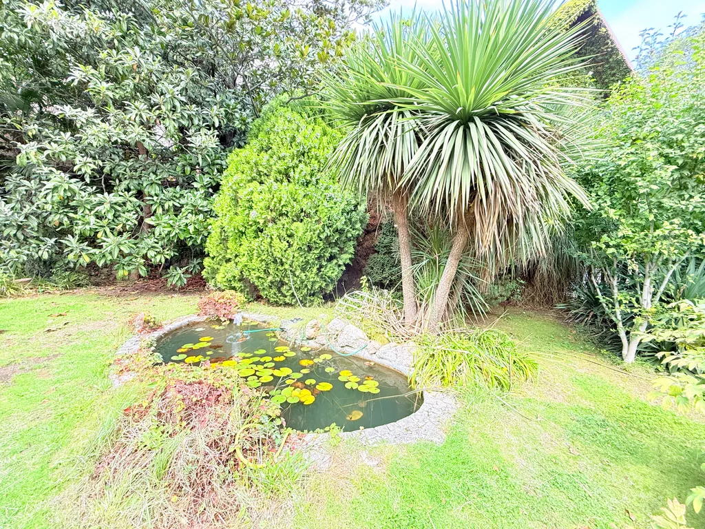 Солнце Ялты у моря с теплым бассейном