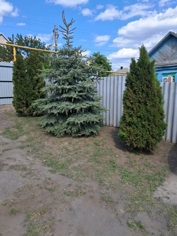 Гостевой домик на Советской рядом река Дон