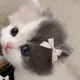 Ариша