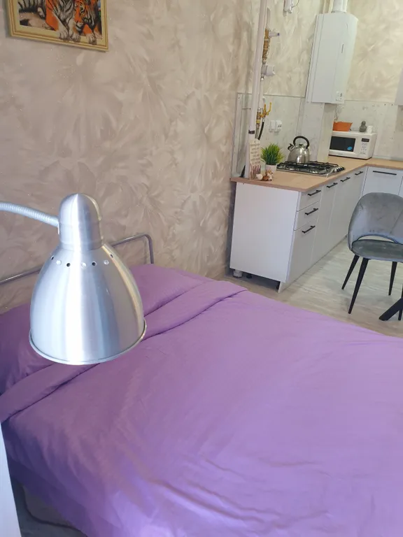 Квартира Уютная просторная квартира — Ярославль