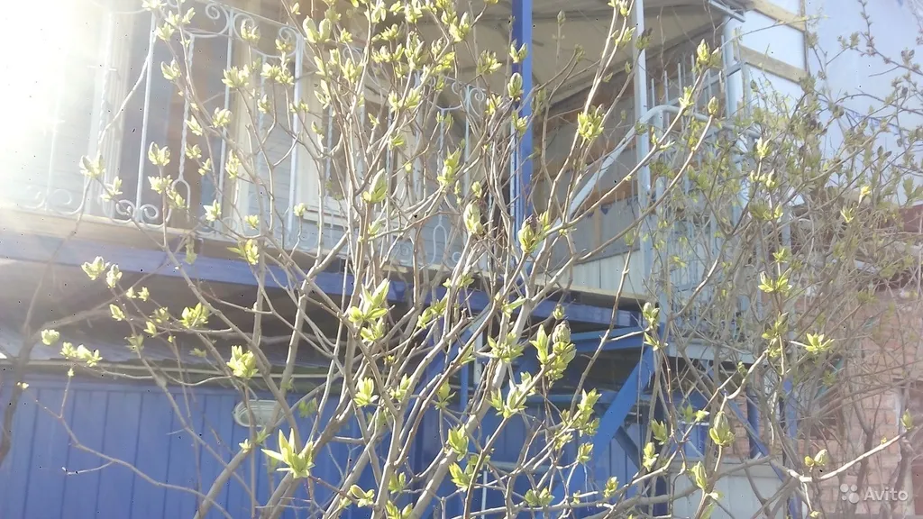 Коттедж 1-комнатный Дом — Ейск