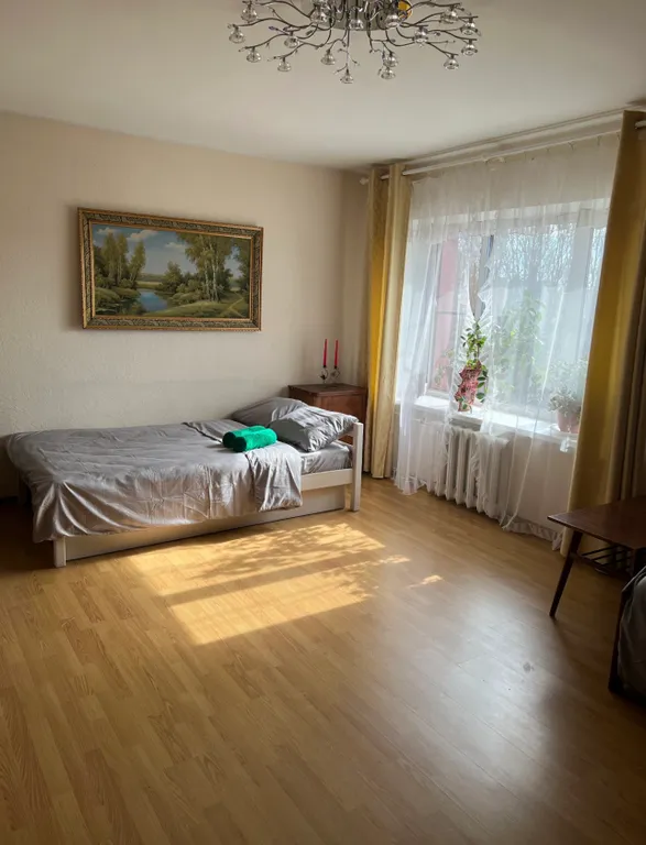 Большая однокомнатная квартира в новом доме