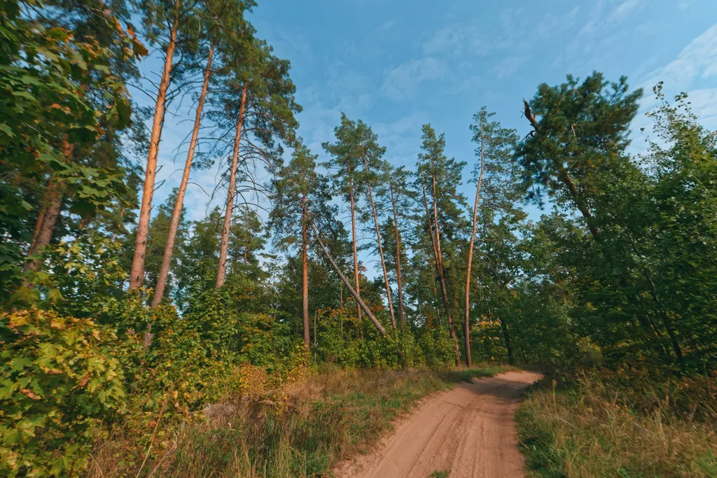Премиум дом на острове у воды: прогулки, барбекю и полное уединение