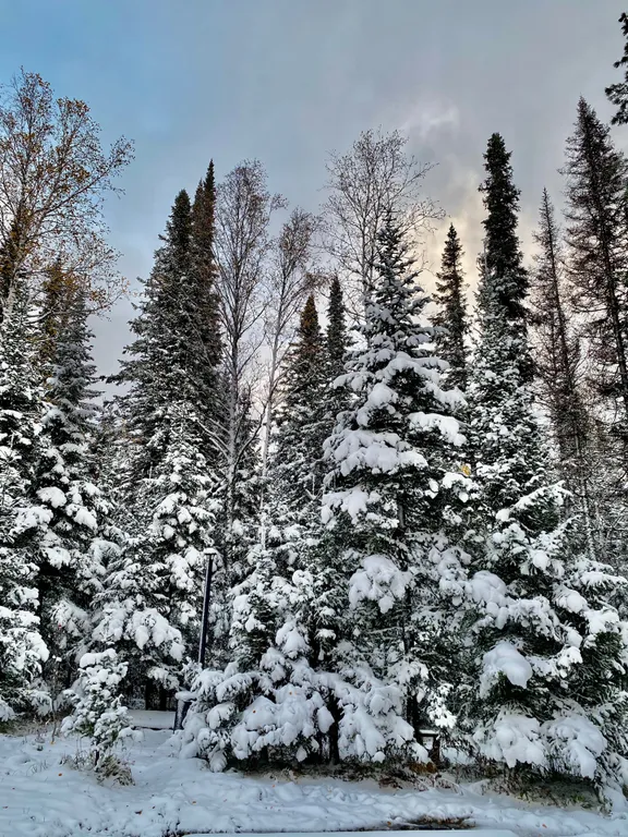 Уютный барнхаус с баней и чаном на территории