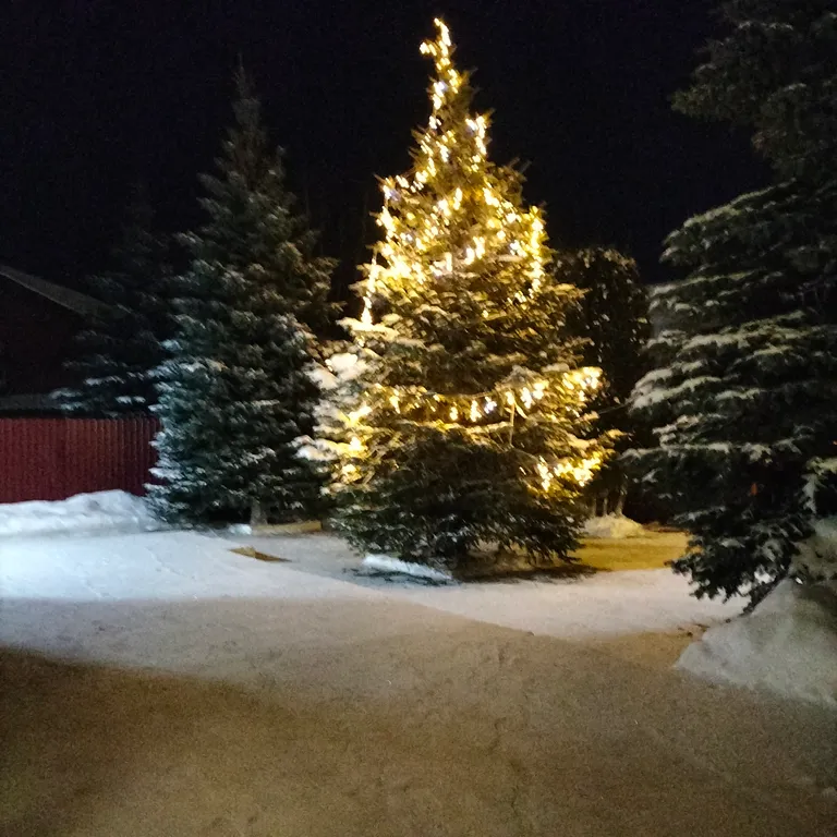 Дом - коттедж У Федота в черте города