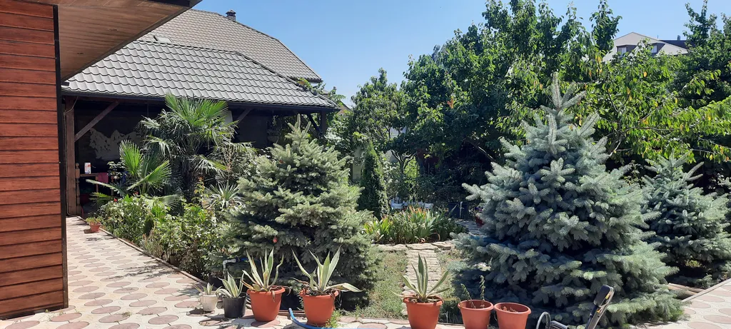 Гостевой домик с видом на пальмы