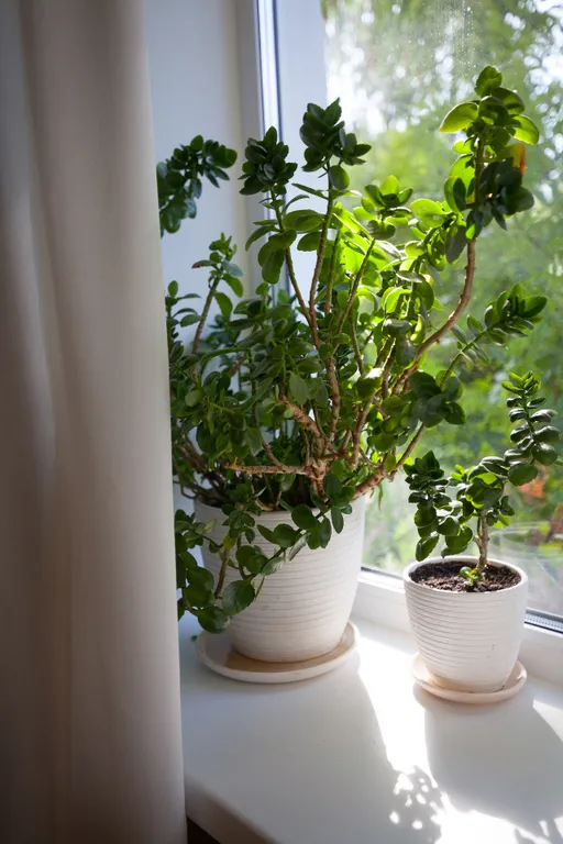 Уютная, тихая квартира в центре города