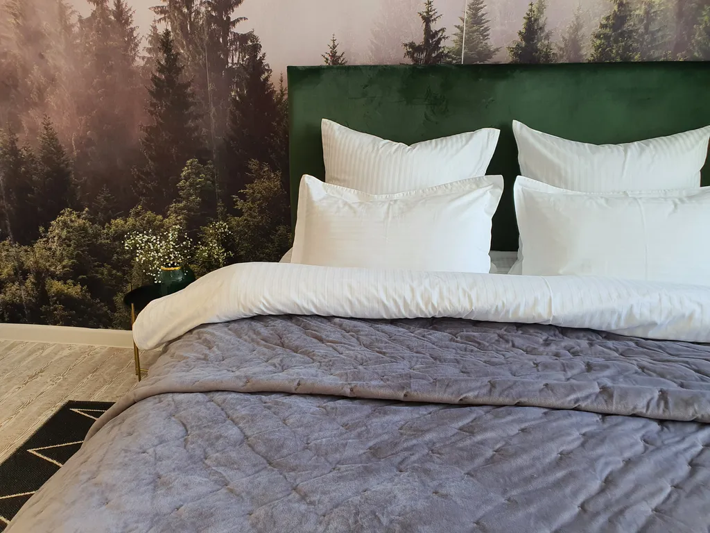 Квартира с большой кроватью и оплаченными домашними кинотеатрами