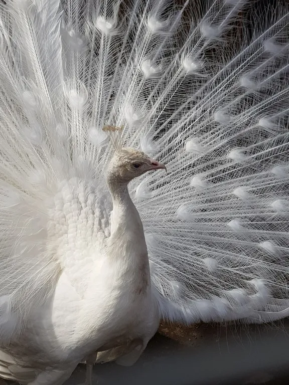 Дом Тропик у озера Увильды