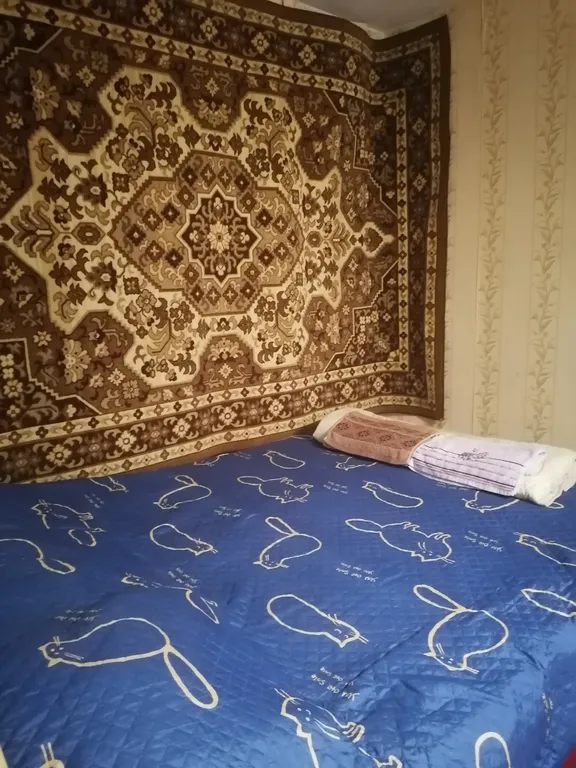 Квартира в центре города, возле парка