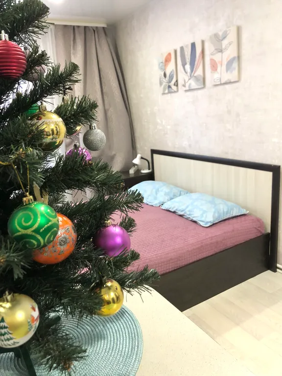 Уютная студия за ТРЦ Глобус