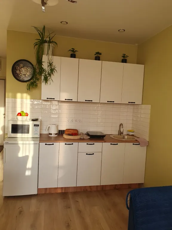 Уютная квартира рядом с аэропортом