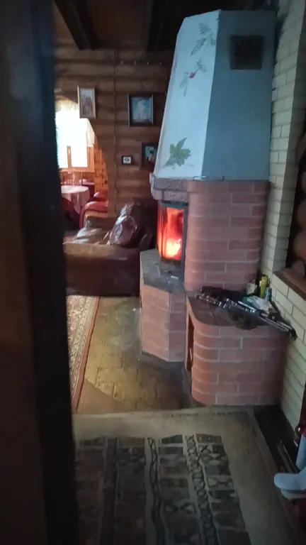 Изба (дом) из экологически чистого бревна под камышовой крышей в лесу