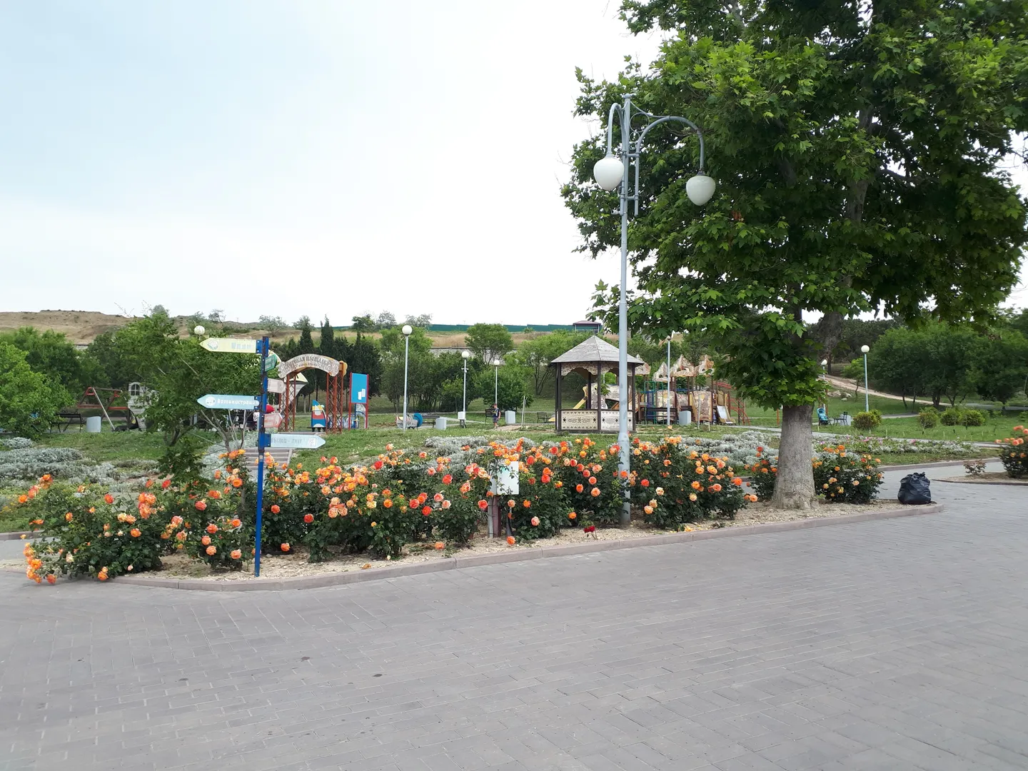 Фото