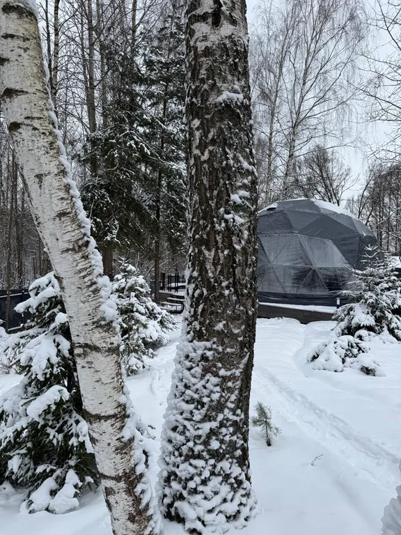 Новая сфера для глэмпинга Бёрд&Self vibe с дизайнерским интерьером