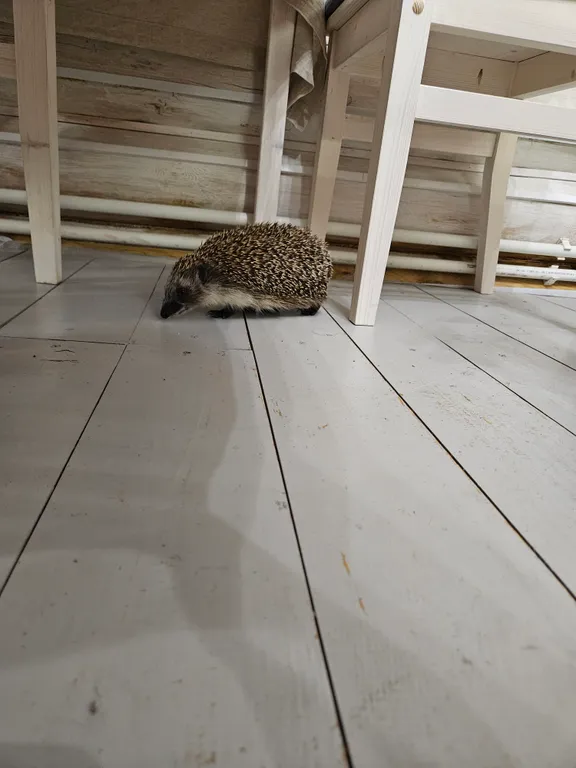 Дом на берегу озера