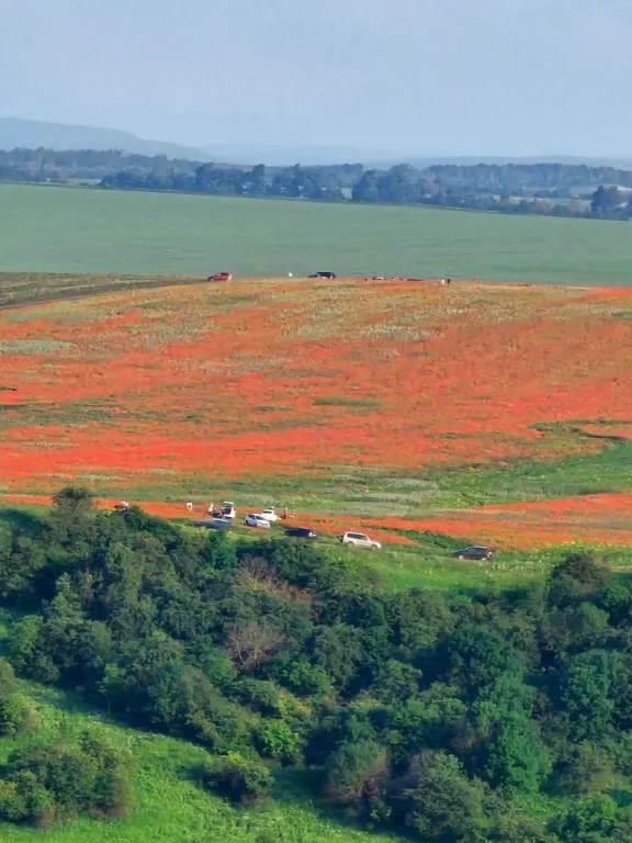 Арт Вилла Эклектика