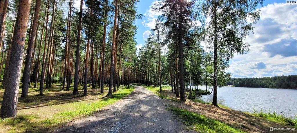 Дом с сауной