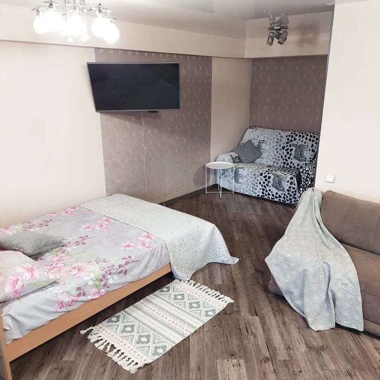 Квартира Вулканы на ладони — аренда посуточно в Петропавловск-Камчатский