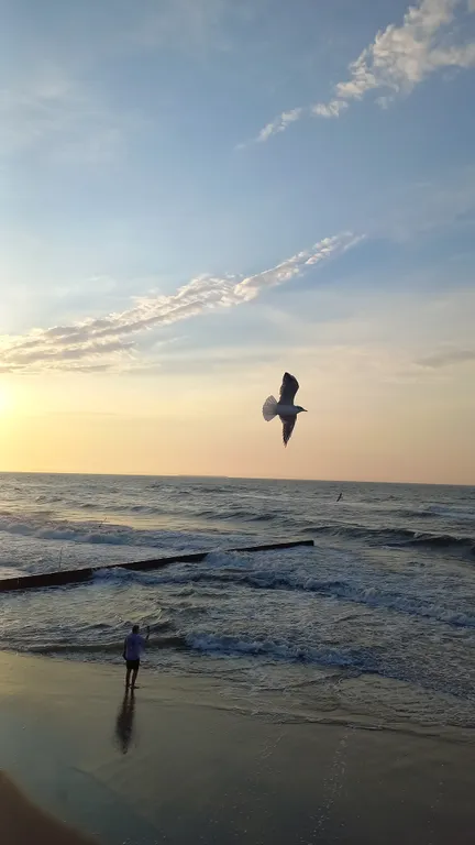 Квартира Уютная квартира в тихом районе Светлогорска — Светлогорск