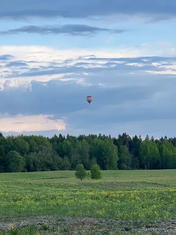 Модолицы хаус