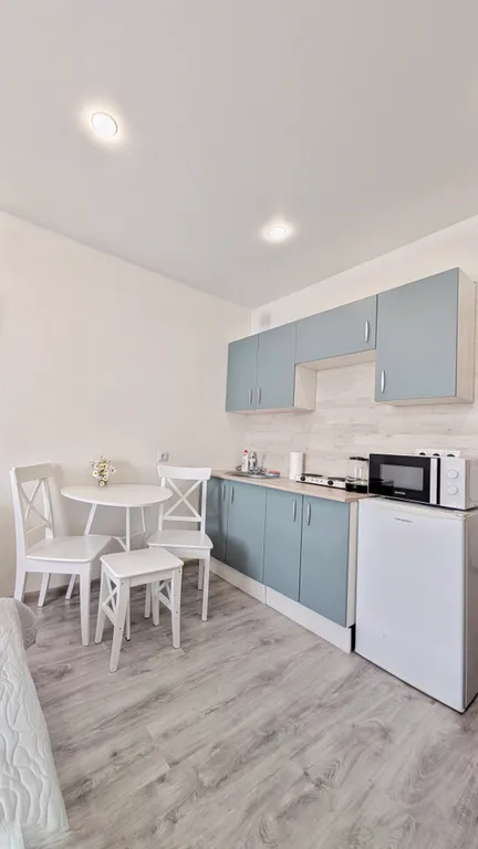 Солнечная студия во всеволожске, панорамный вид, smart tv