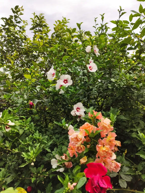 Коттедж Уютный домик в Национальном парке — Сочи