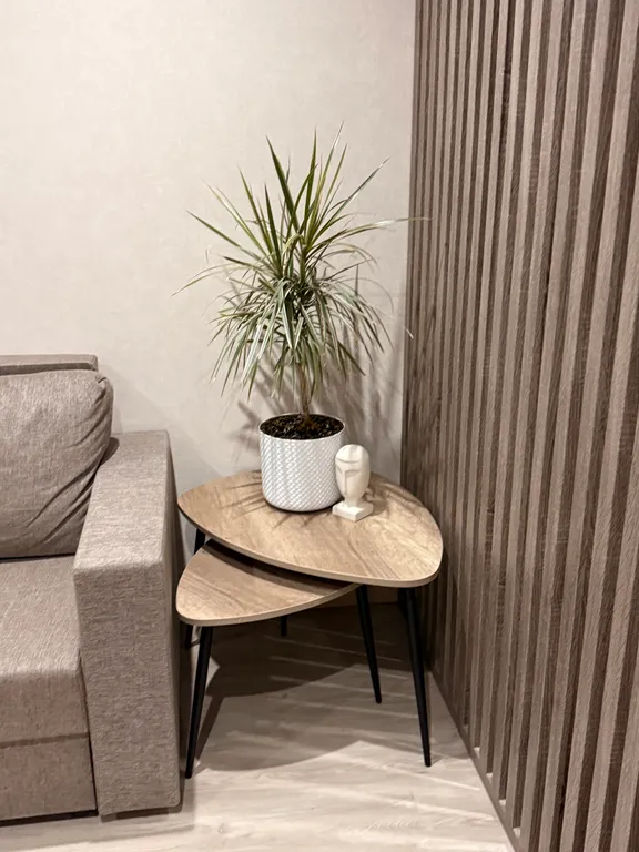 Квартира в сердце Рязани с видом на театр драмы