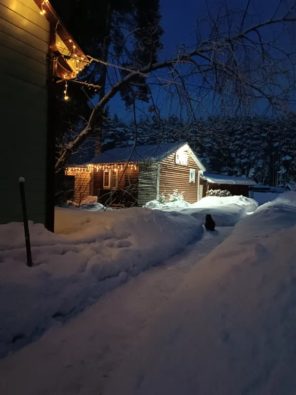 Гостевой домик на берегу озера Волго