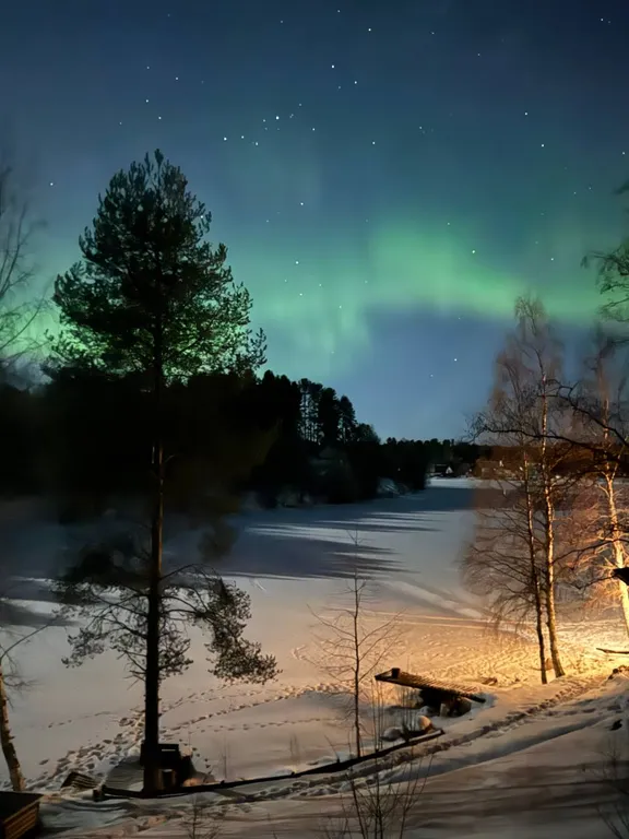 Карельский дом