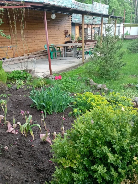 Дом у реки в Пскове