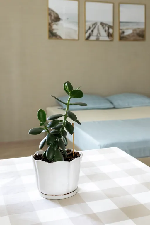 Уютная двухкомнатная квартира