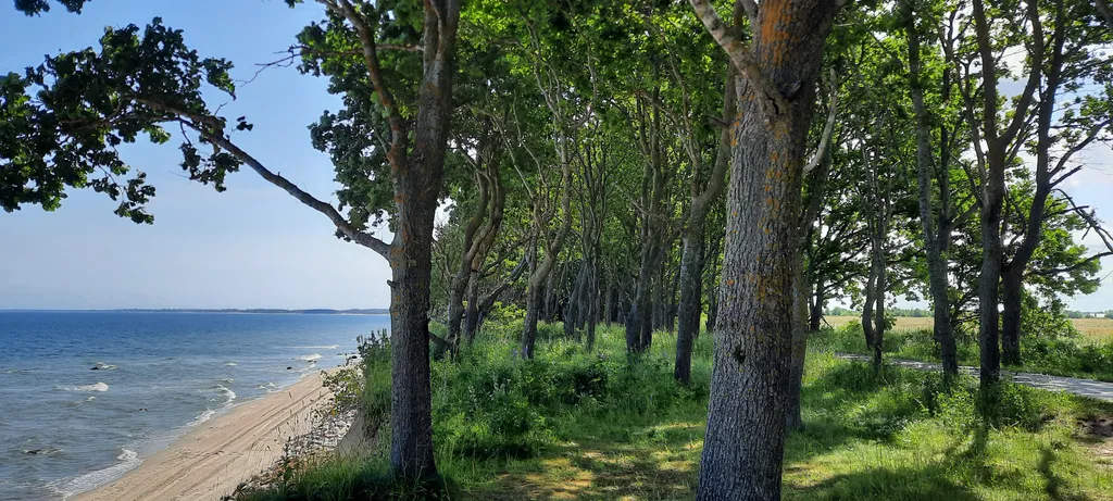 Квартира для умиротворённого отдыха на Балтийском море