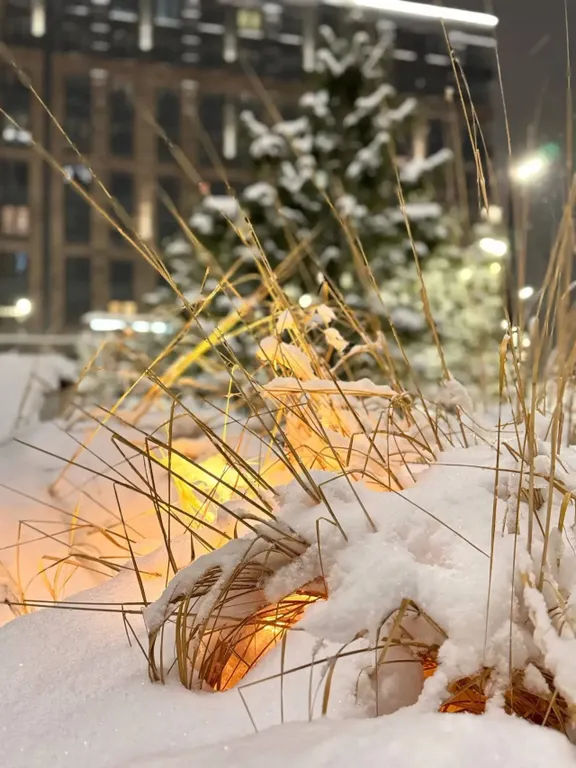 Квартира Уютная квартира жк Зеленая территория — Краснодар