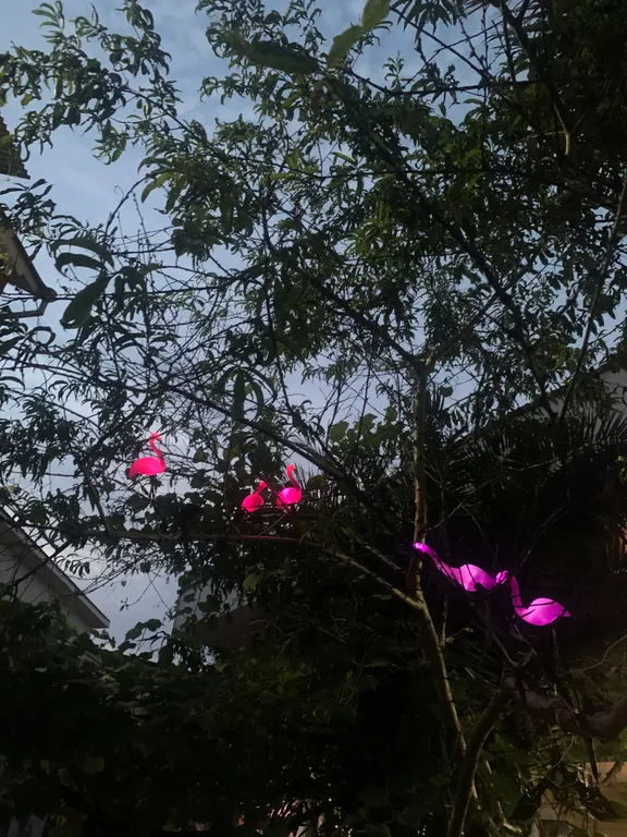 Квартира Комната — Адлер