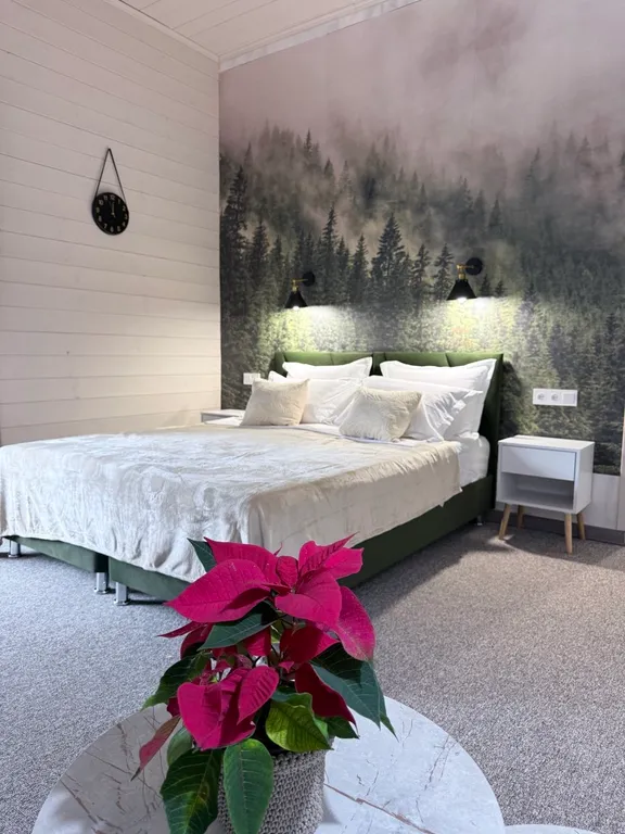 Уютный 2-х местный номер в горах