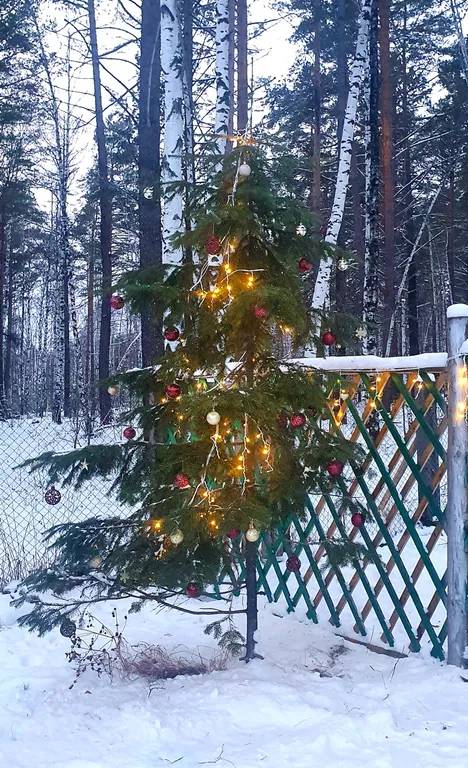 Дом-баня, 59 км Байкальского тракта