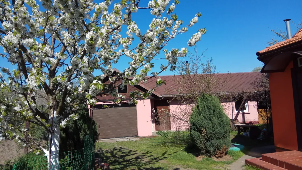 В 10 минутах от Балтийского моря