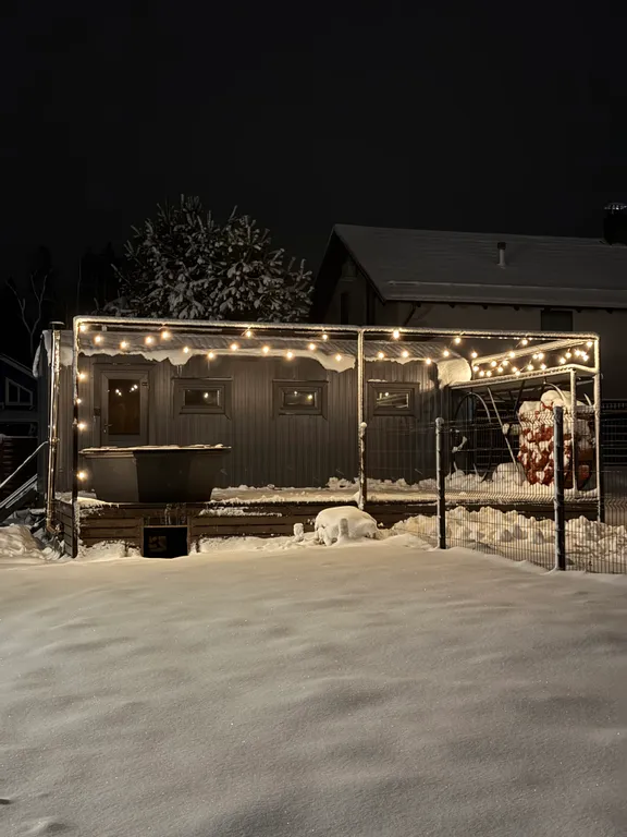Коттедж Загородный дом Парус с оленями — аренда посуточно в Дмитров