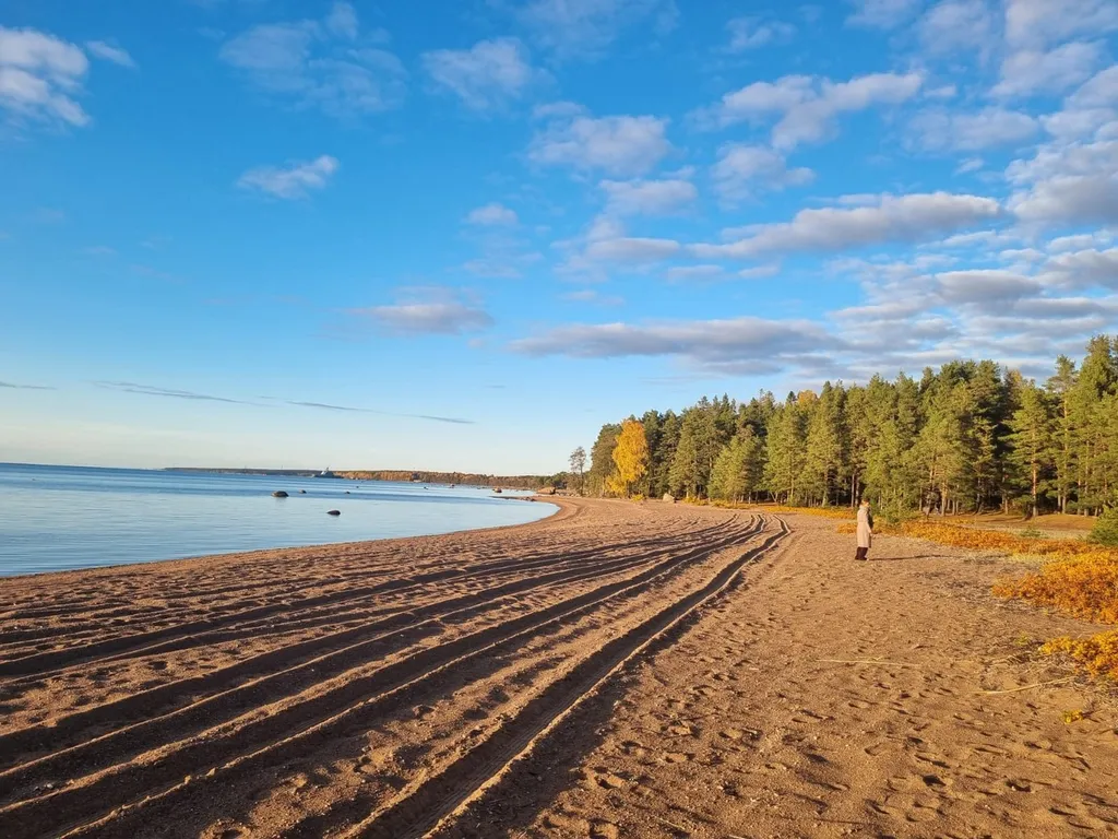 Коттедж 3-комнатный Дом — Приморск