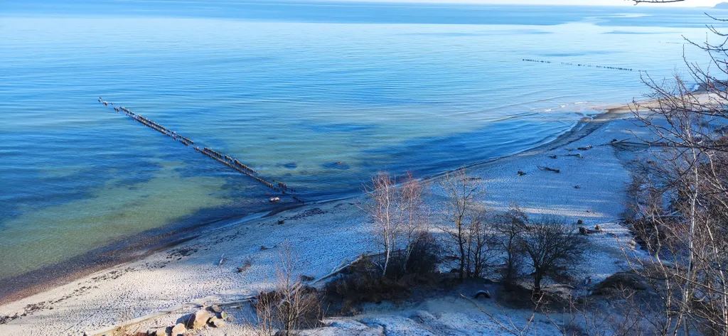 Квартира Апартаменты в курортной зоне у моря — Светлогорск