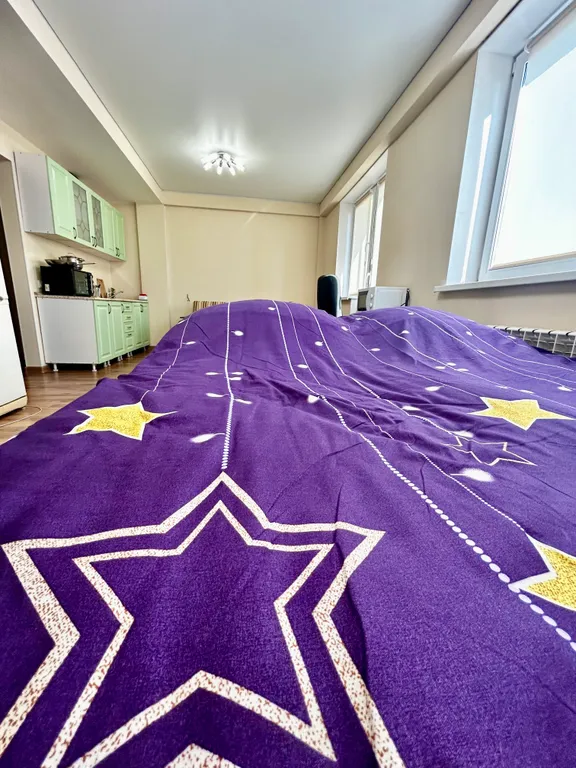 Просторная квартира у парка